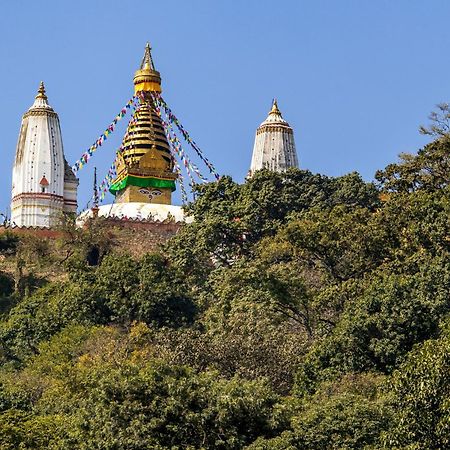 House Of Forrest, Service Apartments Katmandu Eksteriør bilde