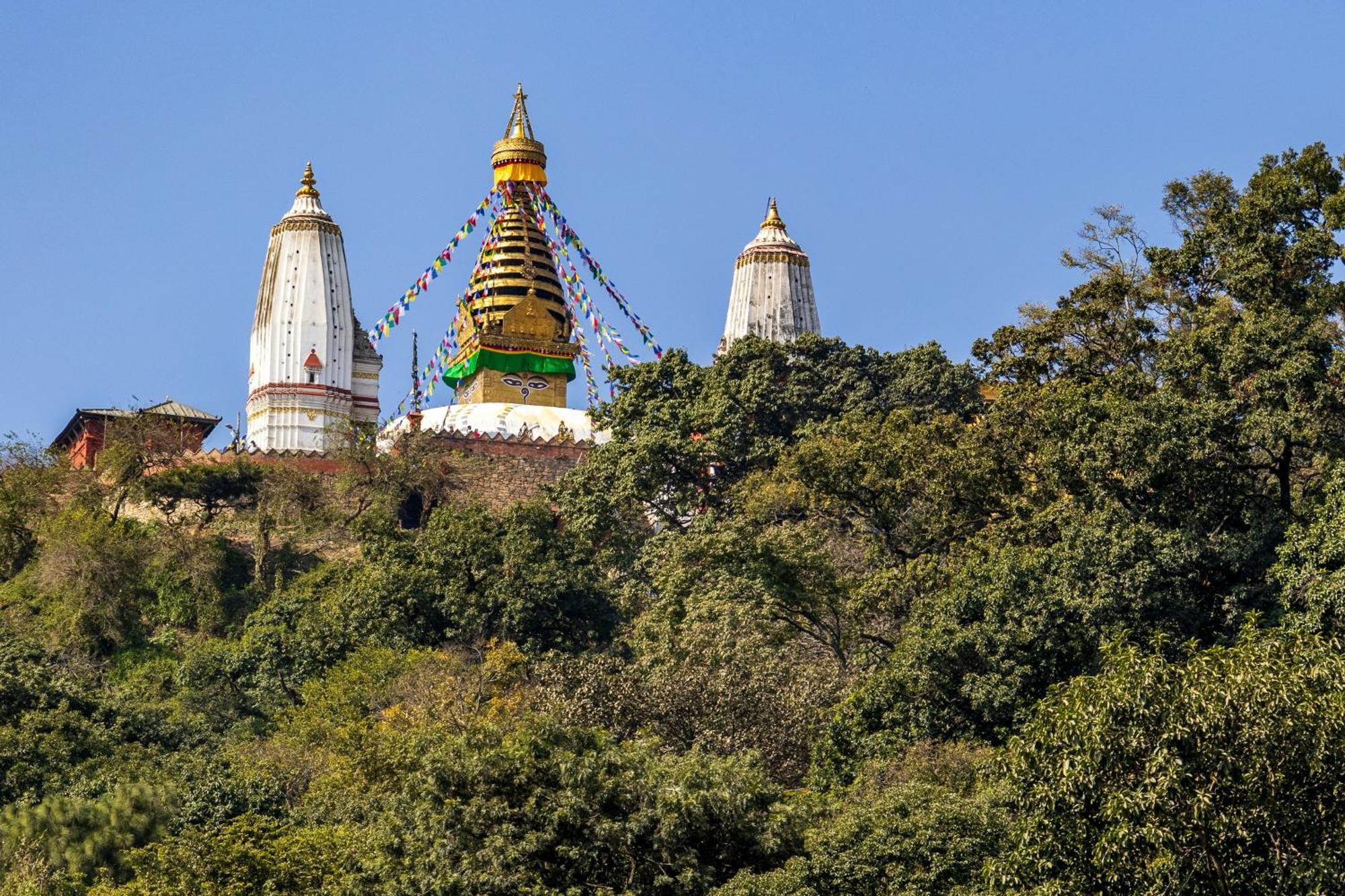 House Of Forrest, Service Apartments Katmandu Eksteriør bilde